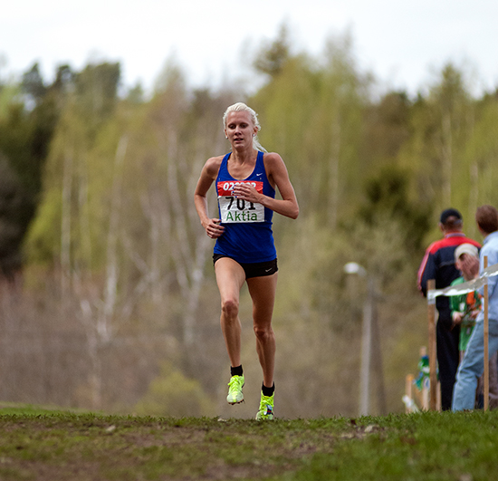 erikssonsandra2013b