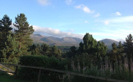 MM-suunnistuksissa 2015 luvassa työmiehen maastoa