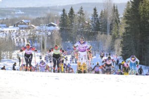 Birkebeinerrennet