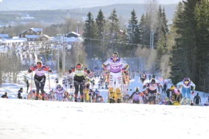 Birkebeinerrennet