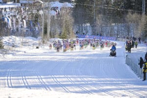 sinivalkoiset Birken