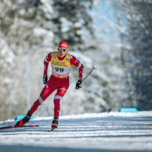 FIS:n neuvosto