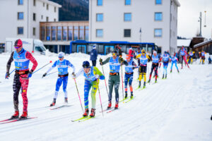 sinivalkoiset värit