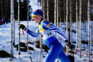Suomi Iivo Niskanen